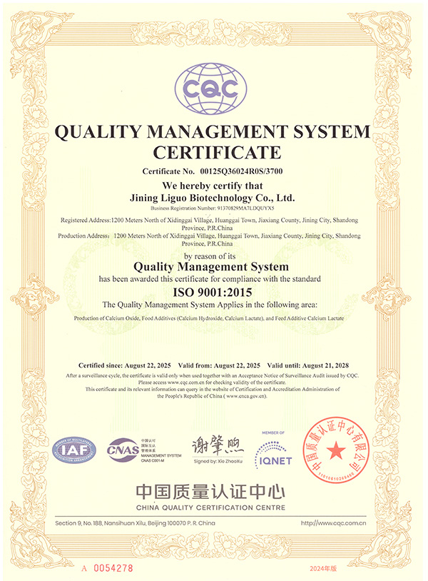 ISO9001